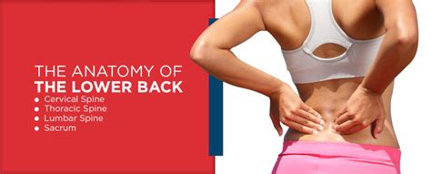 It is opposite from the chest, and the specifically, this muscle blows outward from the t11 through l2 vertebrae., and insert through the lower border of the 9 to 12 ribs. Lower Back Pain Treatment Options | Treating Lower Back Pain