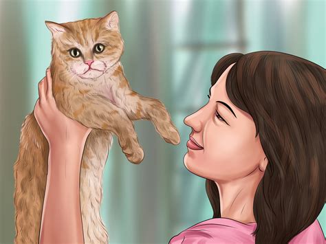 Cats owners will find themselves in a frantic panic when their indoor cat has gone out and not come back. How to React If You Find a Lost Kitten or Cat (with Pictures)
