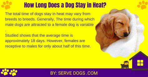 While male dogs do not go into heat, when female dogs go into heat it can have a major impact on them. When do dogs have their first heat?- How old are they?