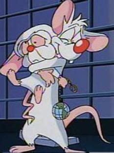 We did not find results for: Pinky and The Brain | Cartoon wallpaper, Brain art, Wallpaper