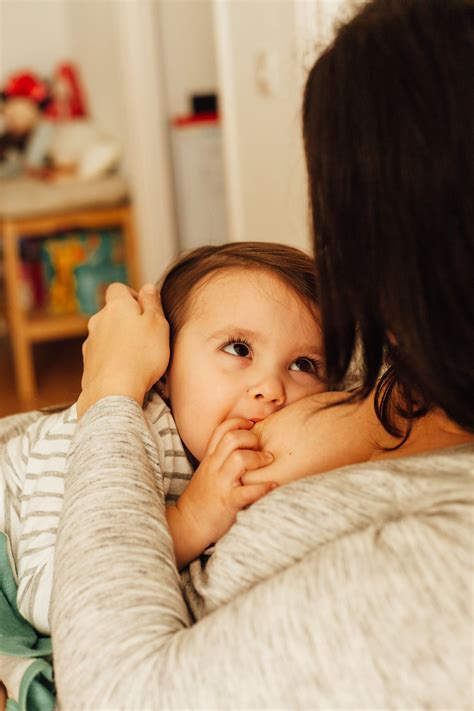 No existe leche mejor para un recién nacido que la leche de su mamá. 2 años y medio de lactancia materna y destete nocturno ...