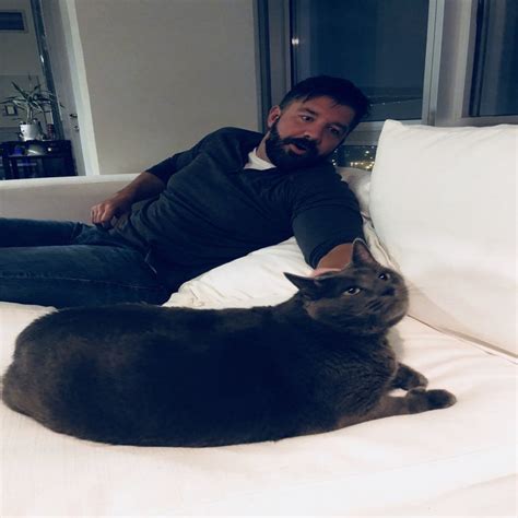 Bruno peres nome em comentários: Bruno The Thicc Cat Got Adopted By An Owner Just As Extra ...