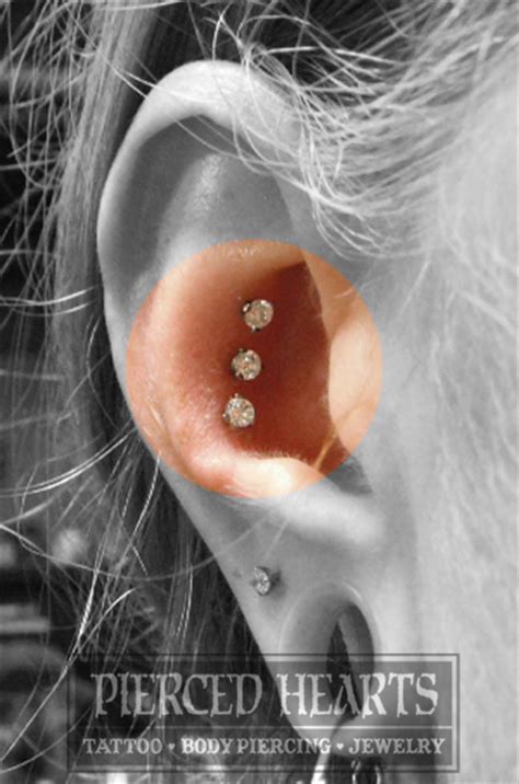 In the 1970's and 1980's the b&d and s&m scene and the adult porn industry made these piercings popular. PIERCING OPTIONS — Pierced Hearts Tattoo Parlor