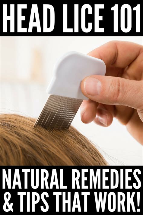 From vinegar and tea tree oil to simple olive oil, numerous home remedies are available that work to get rid of head lice. Lice Hacks! Natural Remedies For Head Lice That Actually ...