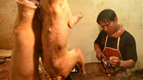 Saya pun gigih la search kat internet pantun yang berkaitan dengan jawi lama + ada word kambing kumbang kembang hhaha. Stok Daging Babi Aman Jelang Imlek - Tirto.ID