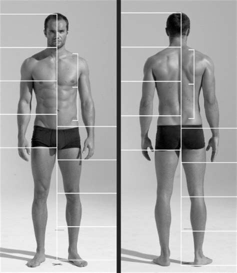 This is a high quality realistic male body character.the character has anatomically correct athletic body and has very detailed topology. Week 1: Introduction, Proportions and the Skeleton » Scott ...