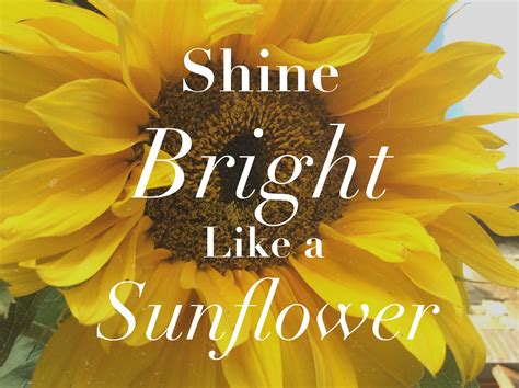 Check spelling or type a new query. Sunflowers shine the brightest! #sunflower #quotes #summer ...