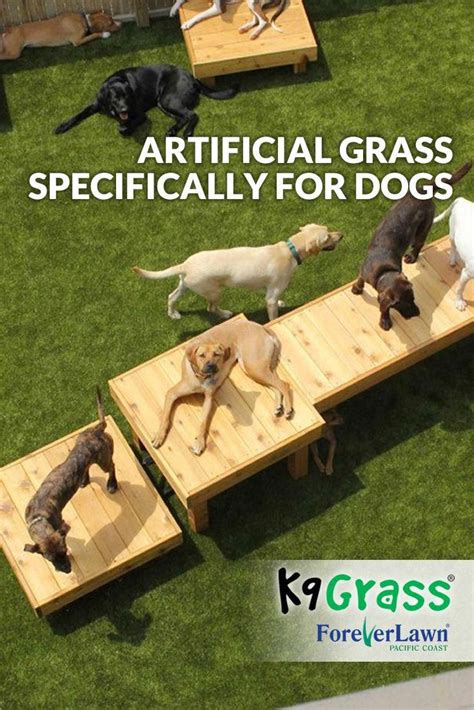 Do you own a pet? Superb artificial turf for dogs - kindly visit our short ...