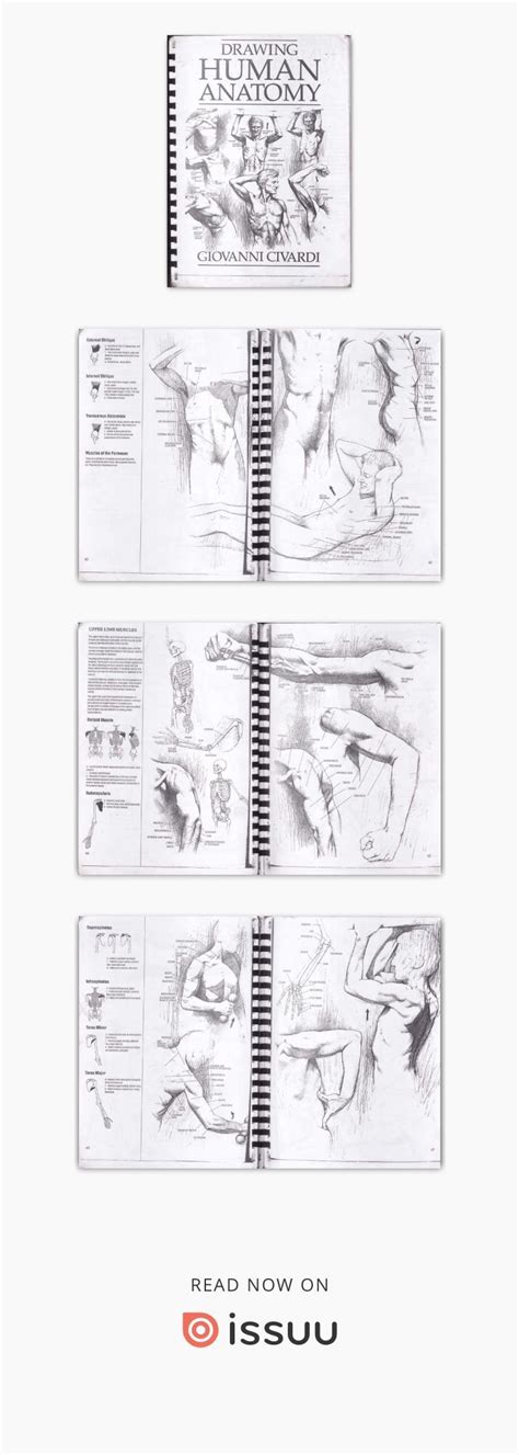 This book consists of two parts and contains the most contemporary and fairly detailed data on the structure of the human body from the mac tion is given to topographic anatomy, correlation between the organs and Drawing Human Anatomy | Drawing for beginners, Human ...