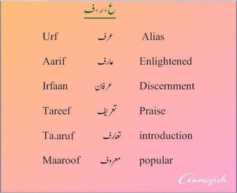 (31) Media Tweets by aamozish (@aamozish) / Twitter | Urdu words with meaning, Urdu words ...