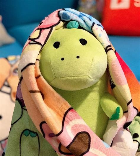 Laying in a giant burrito blanket. Pickle the dinasaur!🌸💖 in 2020 | Elizabeth, My character ...