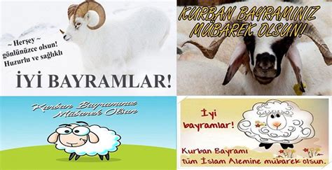 Kurban bayramı mesajları uzun anlamlı. En iyi Kurban Bayramı mesajları - Kısa, uzun, anlamlı ve ...