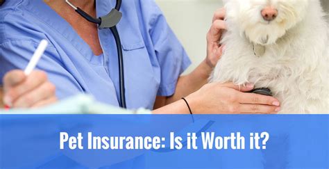 For smaller dogs and younger cats: Pet Insurance Is It Worth It | Dog insurance, Pet insurance reviews, Pet care dogs puppies