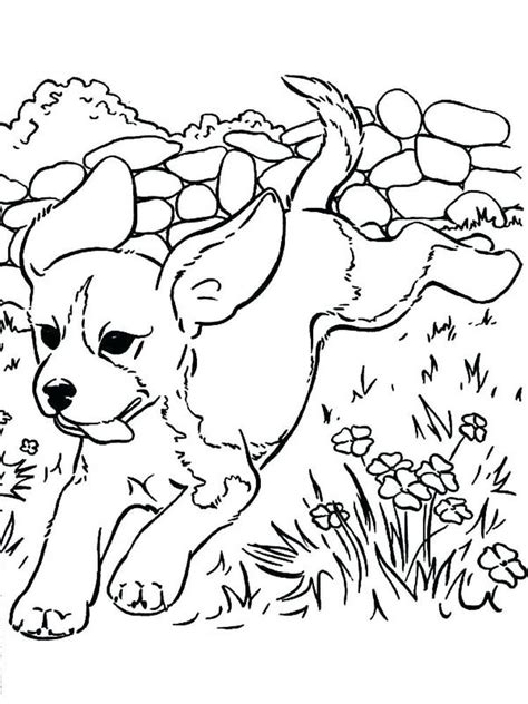 They will give your kid the opportunity to learn more about the finer art of coloring. Pin on Coloring Sheets