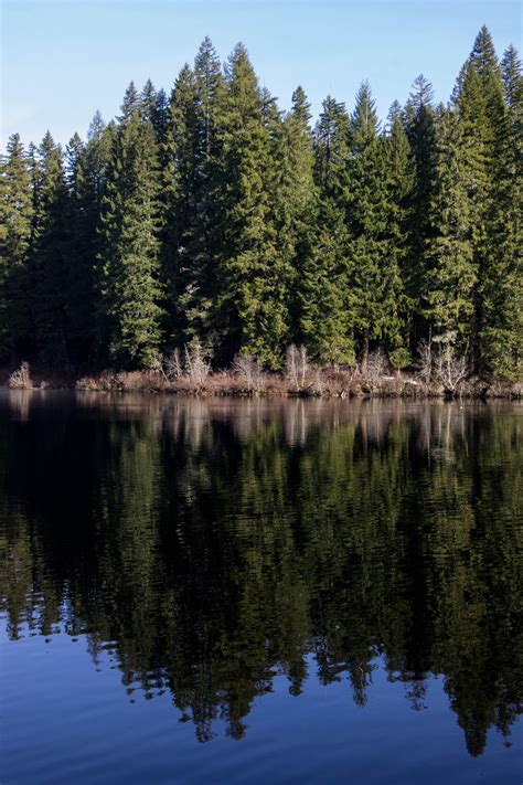 Airbnb.com has been visited by 100k+ users in the past month Clear Lake, Oregon : oregon