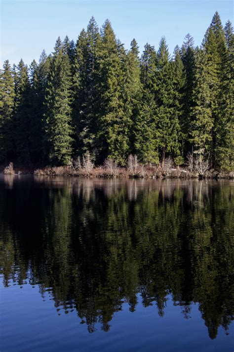 Maybe you would like to learn more about one of these? Clear Lake, Oregon : oregon