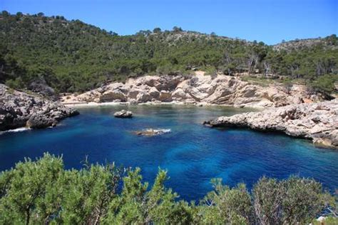 #3 best value of 2,185 places to stay in majorca. Mallorca: Geheimtipp für Paguera-Urlauber