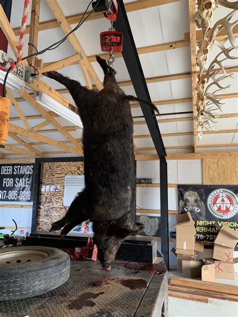 Judge christiansen 1.526.325 views2 years ago. 2019 Wise County Hog Contest - RANKS! 2/4/19 | The Hunting ...