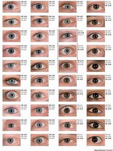 Pin By Jinkyoung On Drawing Eye Color Facts Eye Color Chart Eye