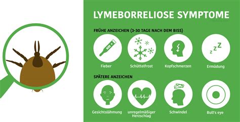 Die borreliose kann mit vielen unterschiedlichen beschwerden einhergehen. CBD bei Borreliose? (2020)