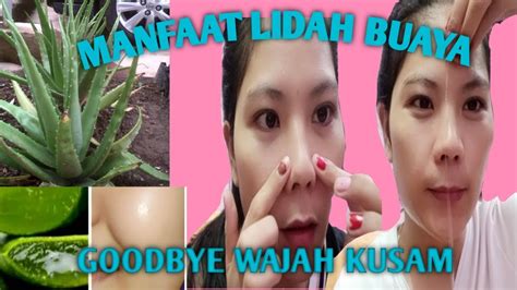 Bagai anak dara mabuk andam. MANFAAT LIDAH BUAYA - UNTUK KULIT KERING DAN KUSAM - YouTube