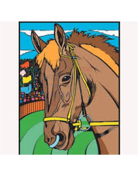 We voegen regelmatig nieuwe paarden. Colorvelvet kleurplaat Paard - KBZ-Kampen