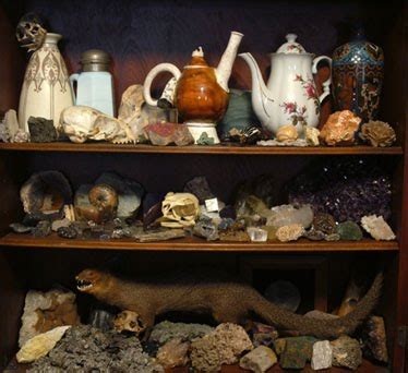 The museum wormianum cabinet of curiosities in his home, visible in a purcell's transformation of the engraving into a vivid installation of ole worm's cabinet, from the tiny snarling polar bear cub on the ceiling. Carnivale Salt: Curious about Curiosity Cabinets: How to ...
