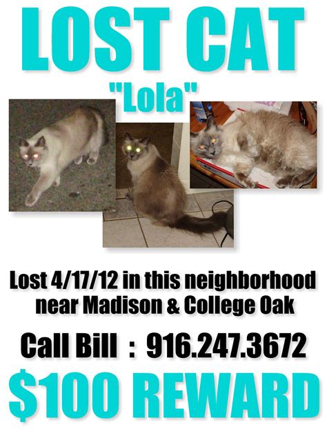 Thousands of cameras and security systems available to view for los angeles. #Sacramento #LostCat #Reward Madison/College Oak | Lost ...