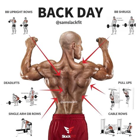 Click on the exercise name in the workout table. Building a bigger back | Good back workouts, Workout plan ...