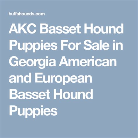 Bhrg rescues abandoned basset hounds in georgia. AKC Basset Hound Puppies For Sale in Georgia American and ...