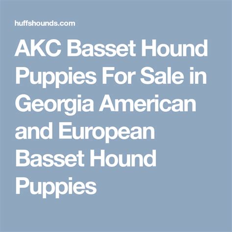 We are a family breeder of akc basset hound puppies located in north georgia. AKC Basset Hound Puppies For Sale in Georgia American and ...