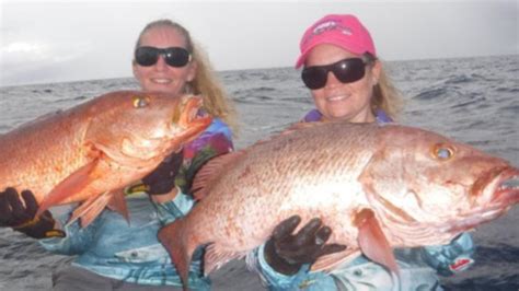 The other side of isle and sea world quest. Female fishos show off their talents at 2017 Airnorth Ladies Fishing Classic | PerthNow