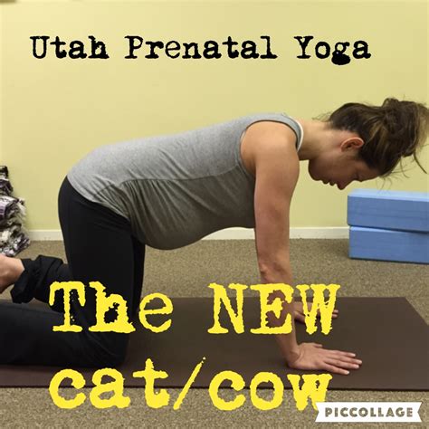 The cat stretch pose is considered safe during the second and third trimesters of pregnancy. Cat And Cow Pose Yoga Pregnancy : Https Encrypted Tbn0 ...