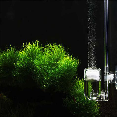 When creating co2 for your aquarium you will have to take into account the size and number of bottles you will use, the recipe, the setup and diffusing. Hot Sale Aquarium Fish Tank 4 in 1 CO2 Diffuser Counter DIY CO2 System Check Valve Aquarium ...