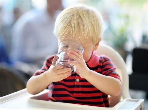 Air kelapa adalah cairan bening yang ada bayi baru diizinkan minum air kelapa saat usianya sudah lebih dari 6 bulan setelah mulai bejalar mengonsumsi minuman dan makanan bayi selain asi. Kebutuhan Air Putih Anak Usia 1 hingga 2 Tahun, Berapa ...