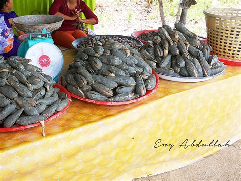 Masakan ini mempunyai beberapa versi selain dari ikan percik. Sedapnya Ikan Bakar Kuala Perlis | EnyAbdullah.Com