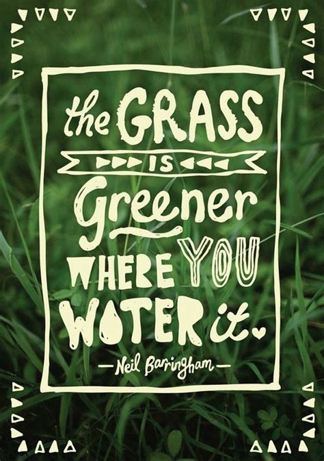 Открыть страницу «splendour in the grass» на facebook. Five Ways to Water Where You Are | InterNations Blog