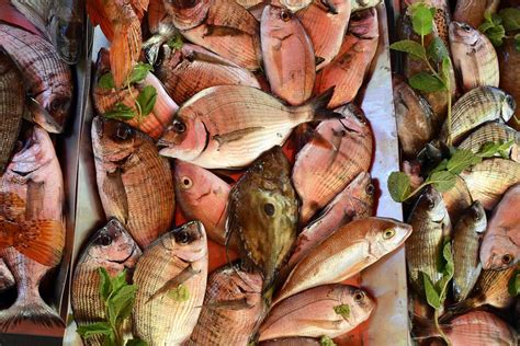 Visit the hout bay market at 31 harbour road, hout bay, cape town. Marsaxlokk - Fish Market (3) | Marsaxlokk | Pictures ...