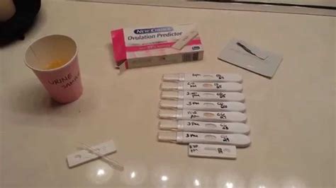 Ovulation test strips work by measuring levels of luteinizing hormone (lh) in your urine. LIVE!!! New Choice OPK vs First Response - YouTube