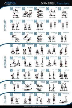 So when you study anatomy, you will also learn all the muscles in the body. Dumbbell Exercise Chart Printable Free | shop fresh