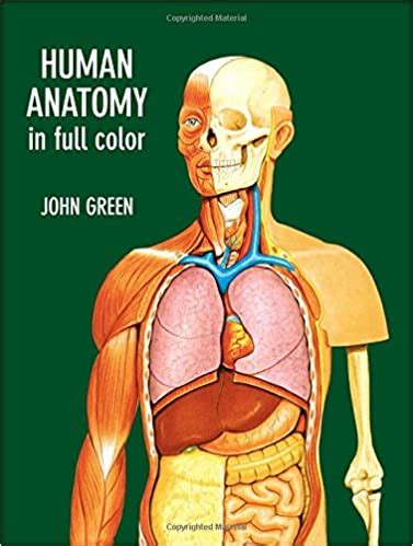 Let us see which system quadriplegics with no nerve supply to their bowels can get a condition called megacolon where they have next to no bowel motility and everything backs up and. Diagram Of Human Body Organs Front And Back Male