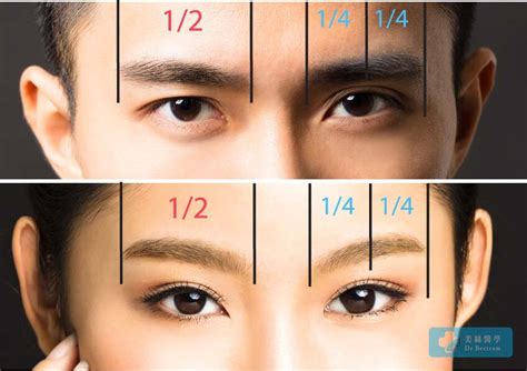 Eyebrow transplant pricing and packages cost in turkey by shift clinic in istanbul, compare the various packages in a very detailed way and see the discounts. Eyebrow Transplant Cost Dr Bertram Hair Transplant