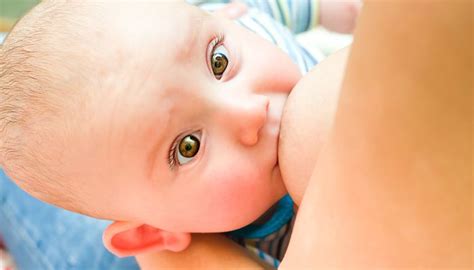 Parenting can be a tough job but also really rewarding. The Lactation Hotline Gone Wrong | Breastfeeding ...