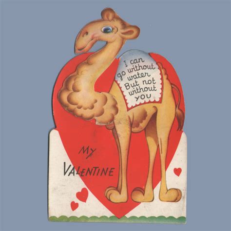 During winters in the sahara desert, camels have been known to survive six or seven months without actually drinking [source: Vintage Valentine Museum: Camels and Shieks