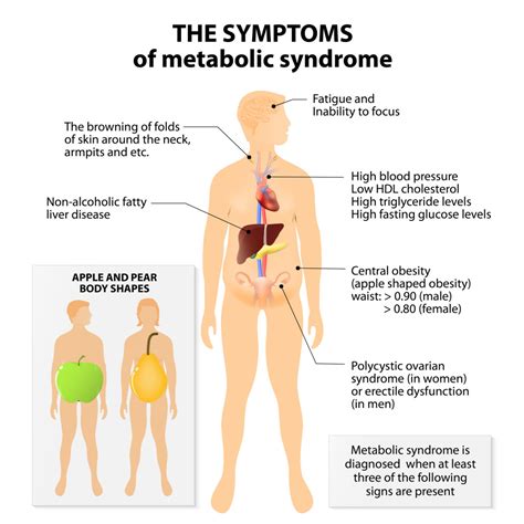 Maybe you would like to learn more about one of these? Diabetes Symptoms in Men - University Health News