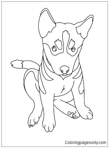 Use crayola® crayons, colored pencils, or markers to decorate the flashcard's front and back. Idaho Coloring Pages at GetColorings.com | Free printable ...