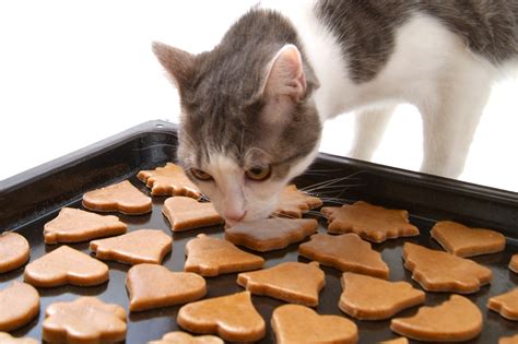 Maybe you would like to learn more about one of these? Baking cat biscuits: quick, easy and delicious | zooplus ...