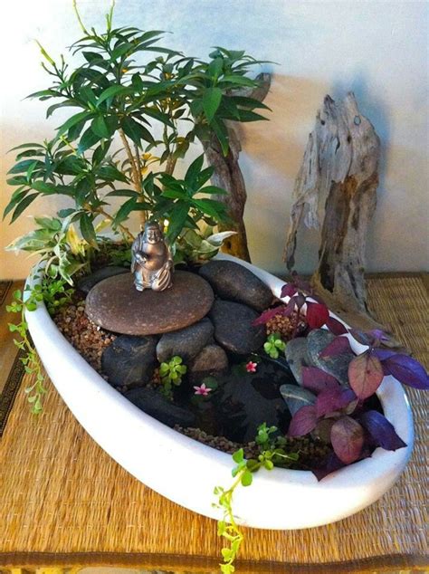 Maybe you would like to learn more about one of these? Pin by Renee Scheuermann on ~Miniature gardens~ | Mini zen ...