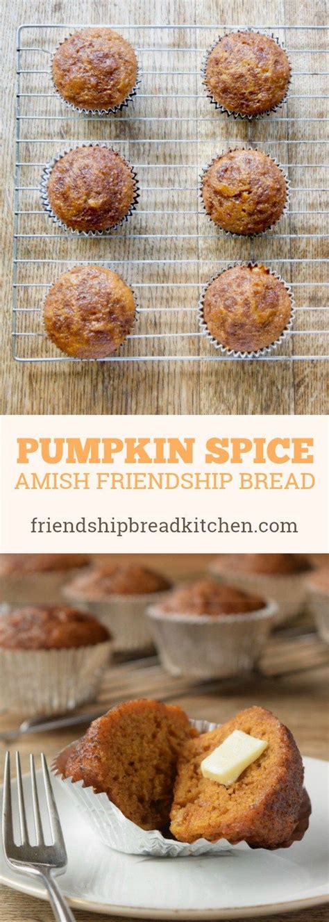 Tips for easy pumpkin bread: Pumpkin Spice Amish Friendship Bread | Recipe (With images ...