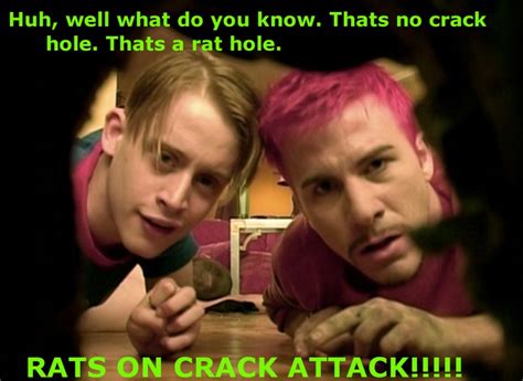 Well, i'll alert the media. party monster | favorite movie and tv quotes | Pinterest